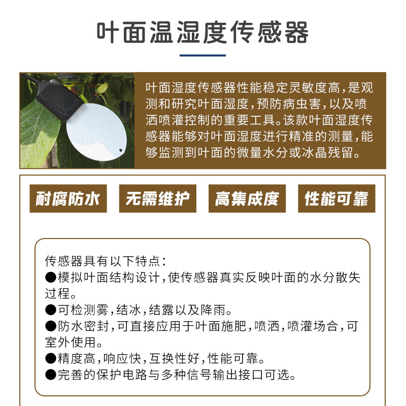 葉面溫濕度傳感器介紹