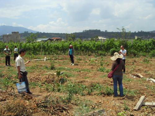 土壤墑情氣象多參數監測系統的經濟效益和生態效益